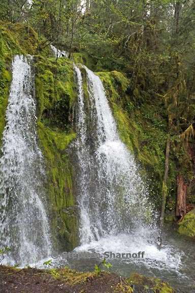 stream 3567 4 graphic